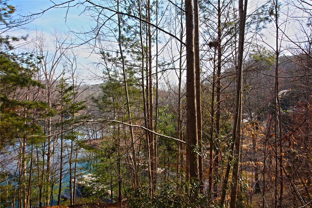 Lot 5 Royal Reserve Sunset, SC 29685 - Photo 48 of 50 This serene property offers tranquil lake views through a natural wooded setting.