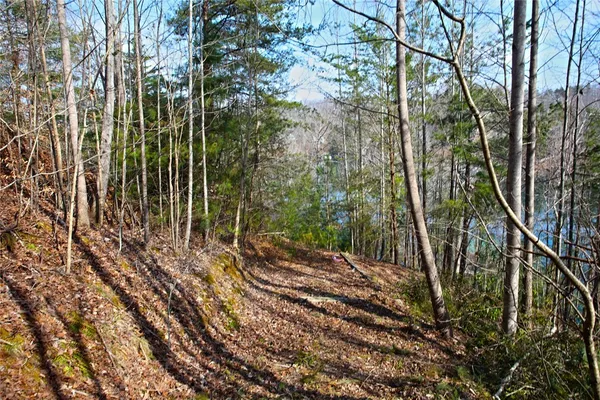 $499,000 | Lot 5 Royal Reserve, Sunset, SC 29685