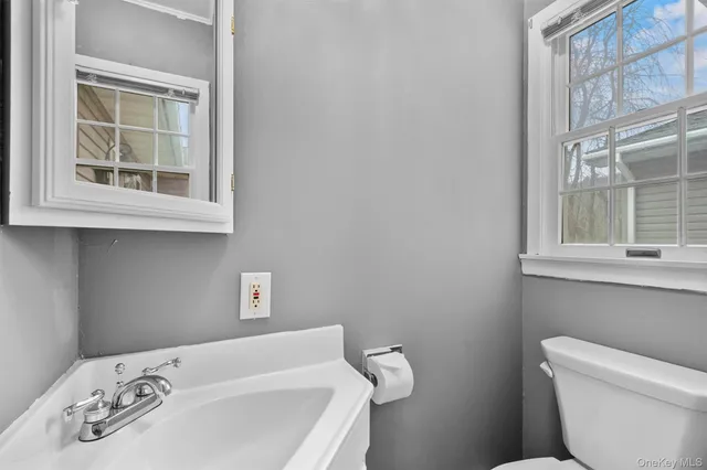 a bathroom with a sink and a toilet