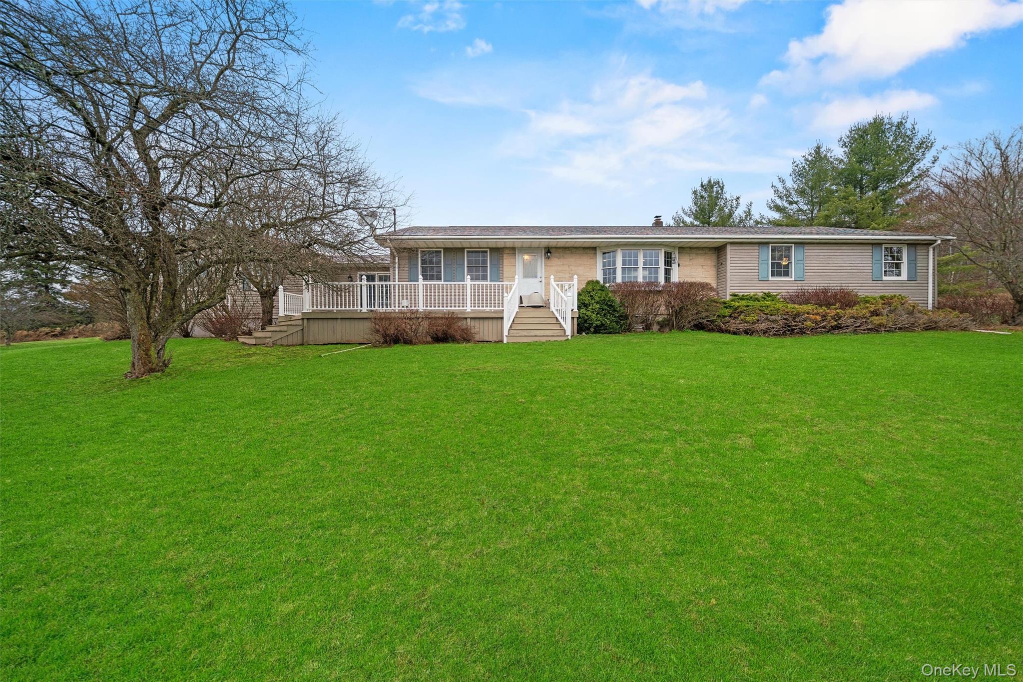 5 Hess Road Callicoon, NY 12723 - Photo 6 of 45 a view of a yard in front of a house with large tree