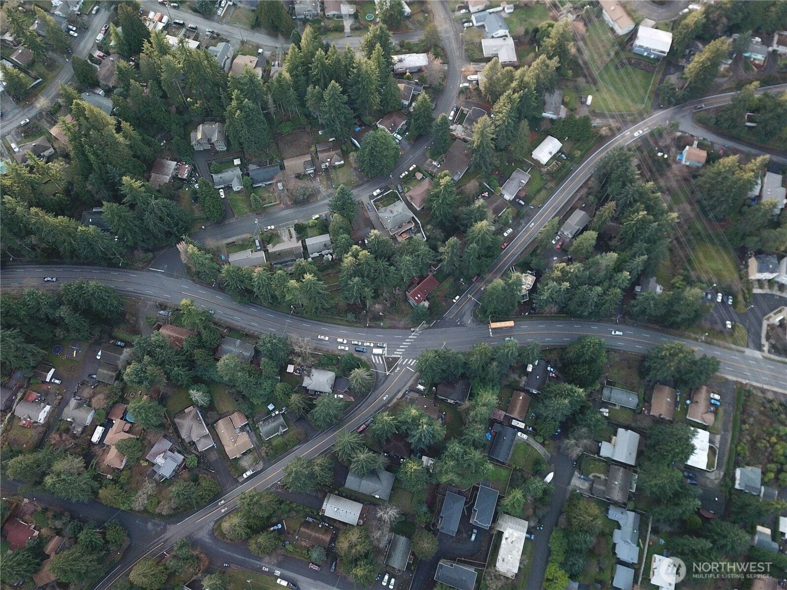 18817 15th Avenue Northeast Shoreline, WA 98155 - Photo 5 of 5 a view of tree