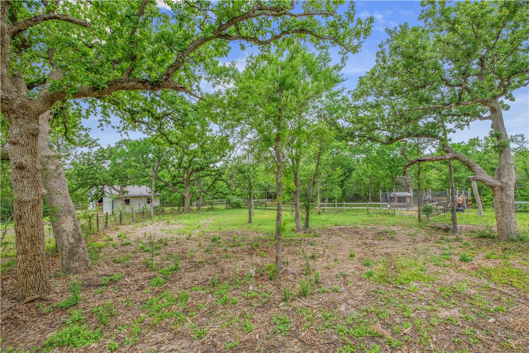6538 Olympia Buddy Road College Station, TX 77845 - Photo 33 of 50 a view of a backyard with green space