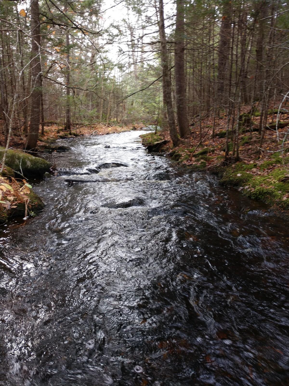 Off-645 Off-645 Howard Lake Road Robbinston, ME 04671 - Photo 16 of 20 IMG_20191025_101050022