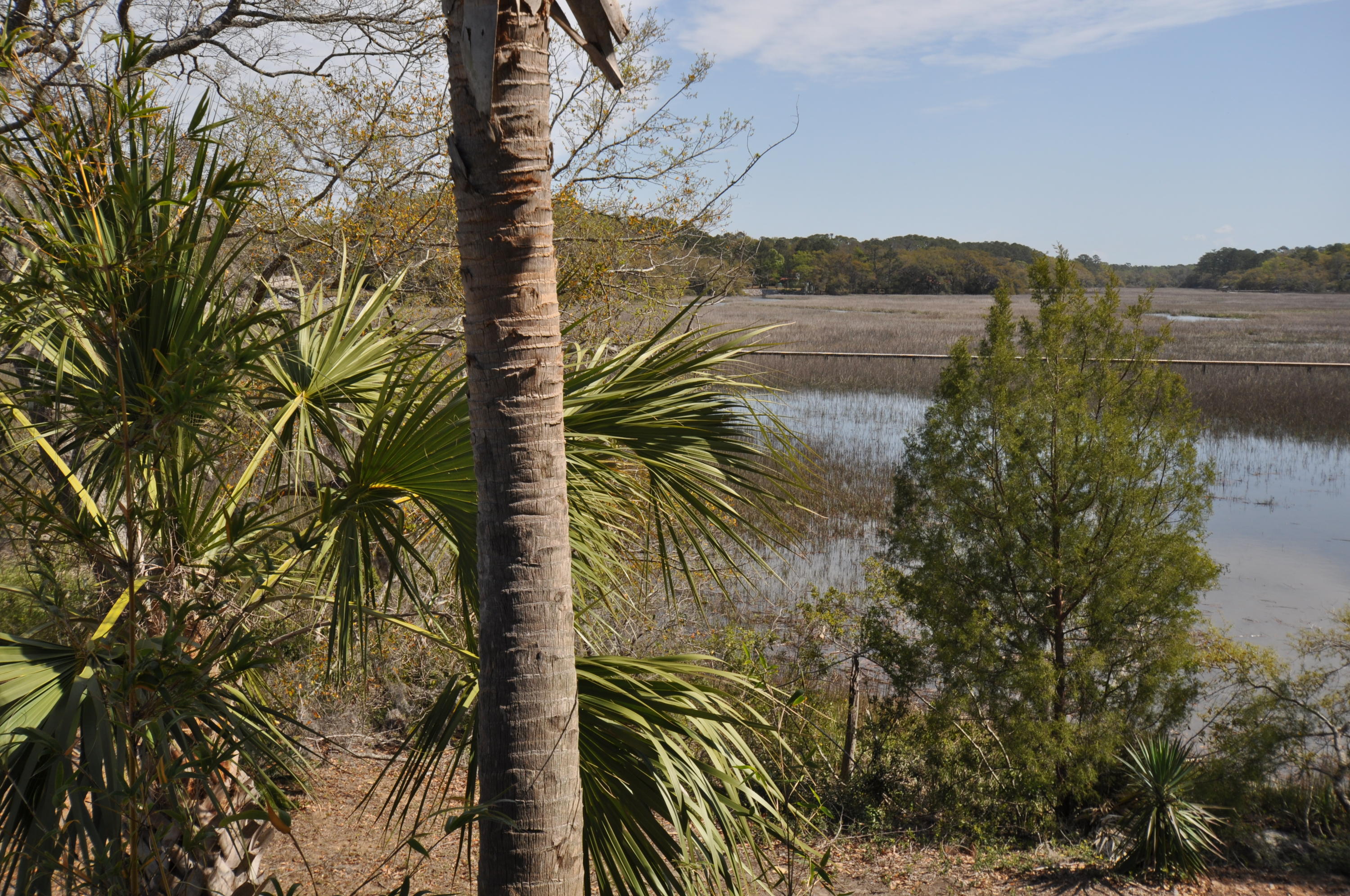 8544 Pope Landing Road Edisto Island, SC 29438 - Photo 80 of 100 8544 Pope Landing Road 128