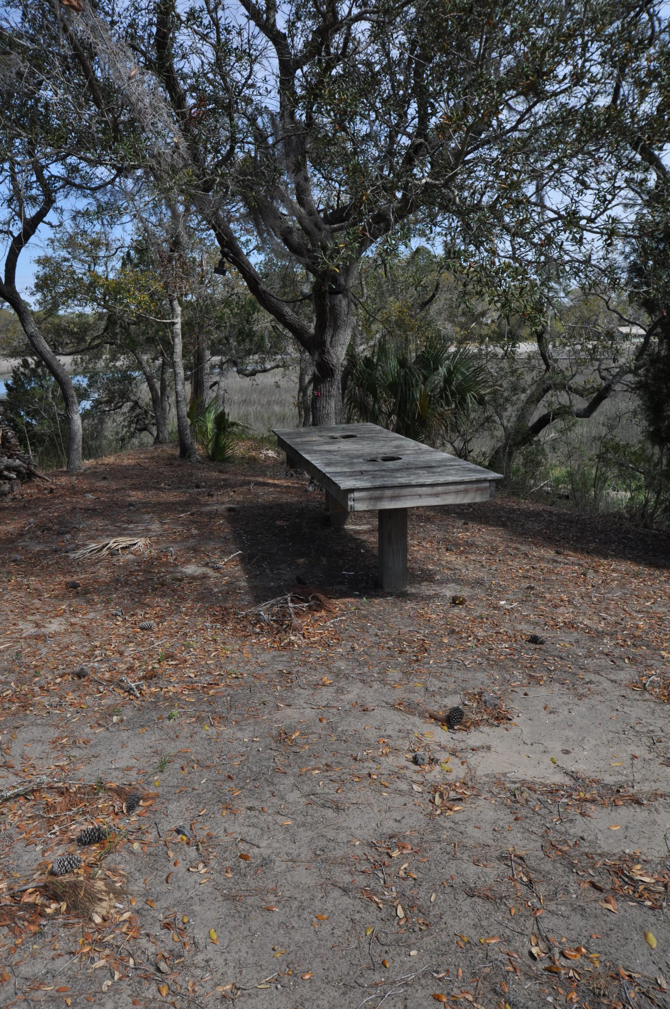 8544 Pope Landing Road Edisto Island, SC 29438 - Photo 92 of 100 8544 Pope Landing Road 150