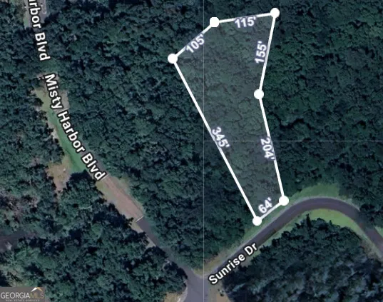 $17,000 | Lot 165 Sunrise Drive, Woodbine, GA 31569