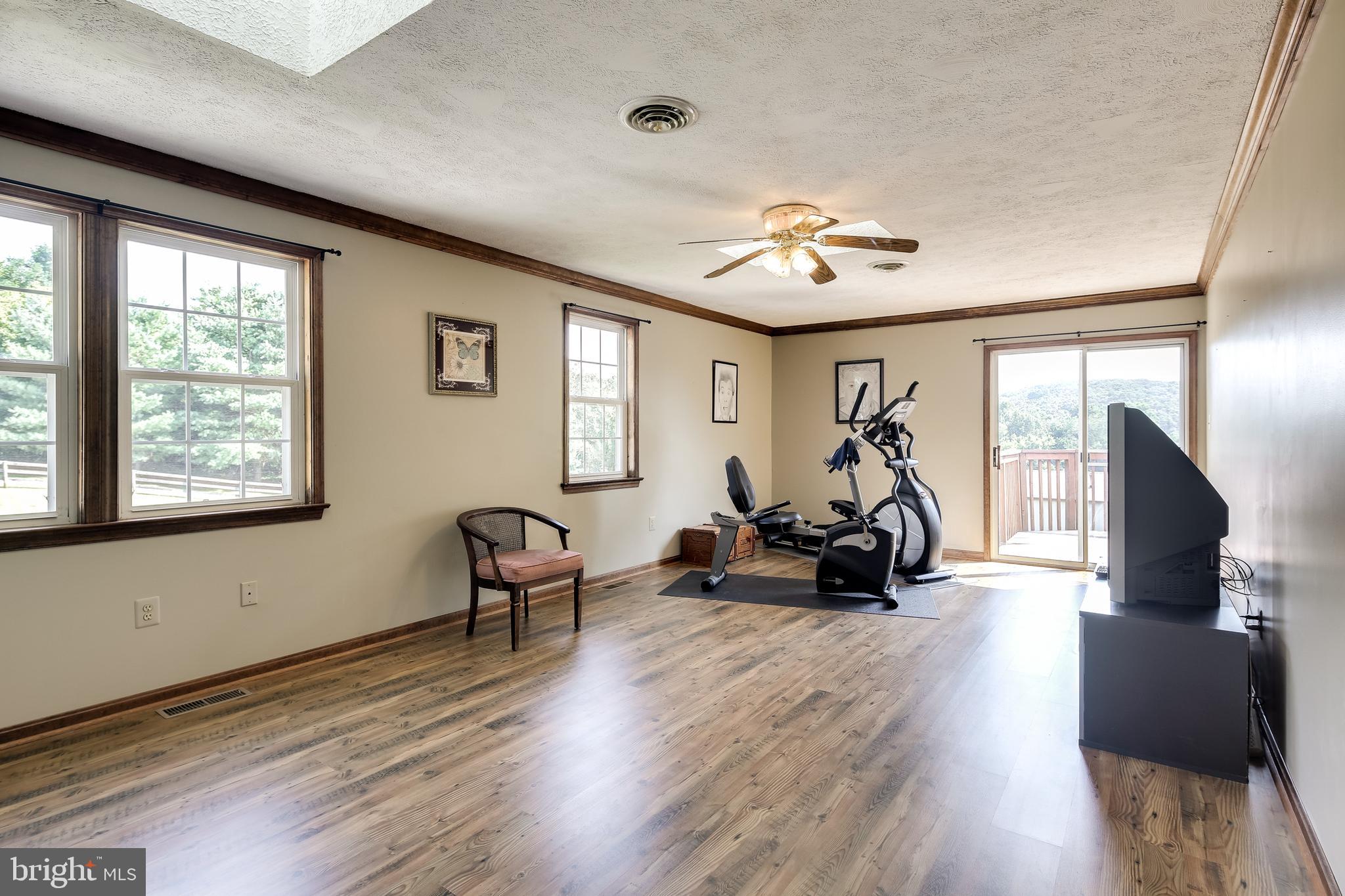 21613 Mt Lena Road Boonsboro, MD 21713 - Photo 21 of 39 Bedroom #2 w/slider to deck. Skylight!
