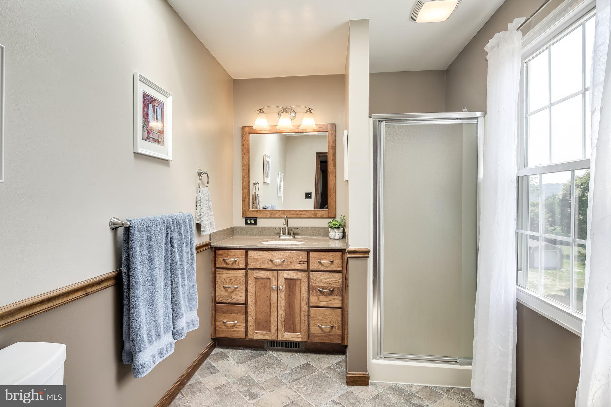 21613 Mt Lena Road Boonsboro, MD 21713 - Photo 26 of 39 Light filled master bathroom.