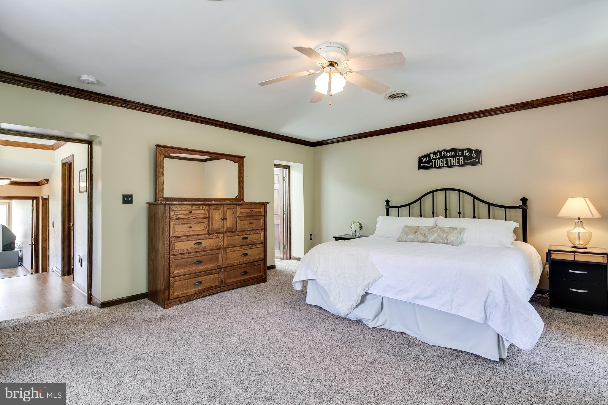 21613 Mt Lena Road Boonsboro, MD 21713 - Photo 29 of 39 Spacious master bedroom.