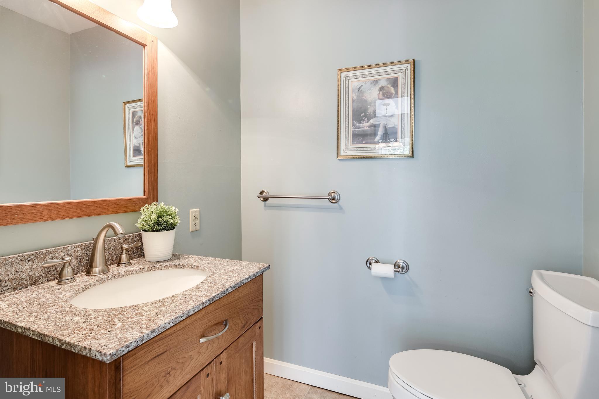 21613 Mt Lena Road Boonsboro, MD 21713 - Photo 6 of 39 Main level half bath w/matching vanity & mirror.