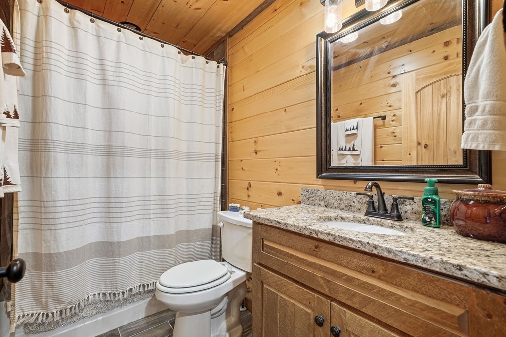 175 Stuart Drive Mineral Bluff, GA 30559 - Photo 29 of 45