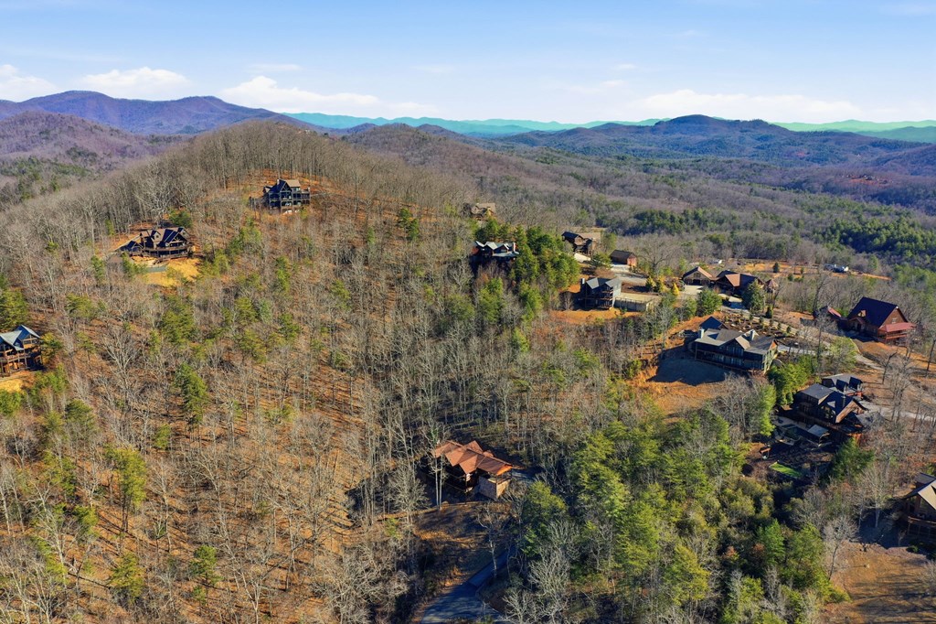 175 Stuart Drive Mineral Bluff, GA 30559 - Photo 38 of 45 a view of a lush green hillside and houses