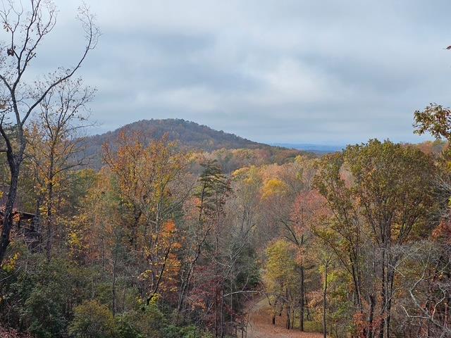 175 Stuart Drive Mineral Bluff, GA 30559 - Photo 45 of 45 a view of mountain view with lots of trees