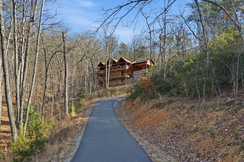 175 Stuart Drive Mineral Bluff, GA 30559 - Photo 5 of 45