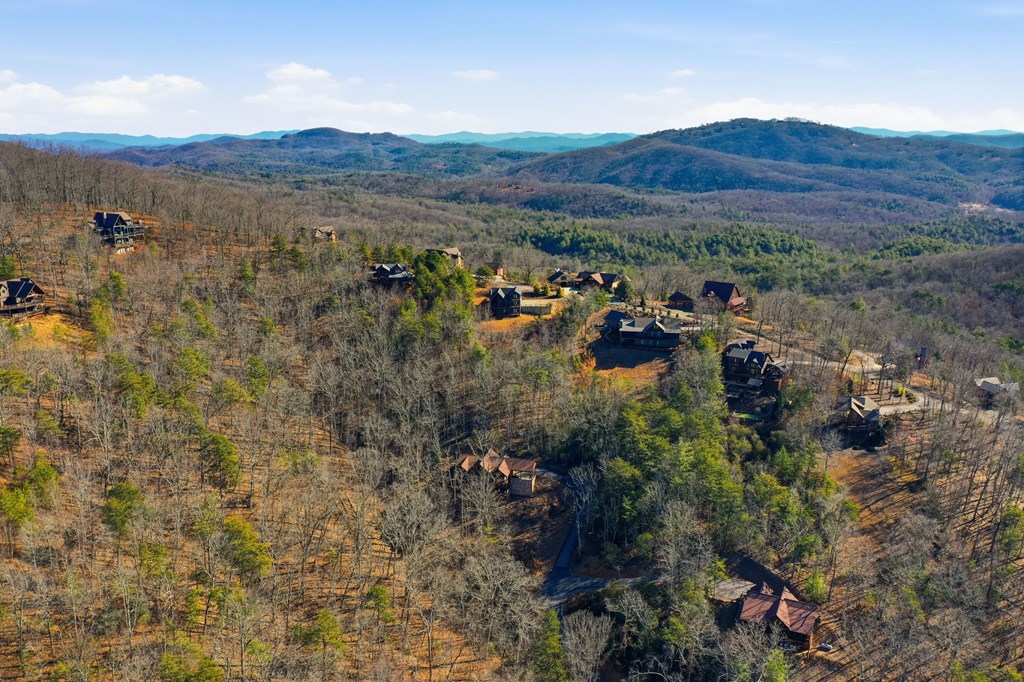 175 Stuart Drive Mineral Bluff, GA 30559 - Photo 8 of 45