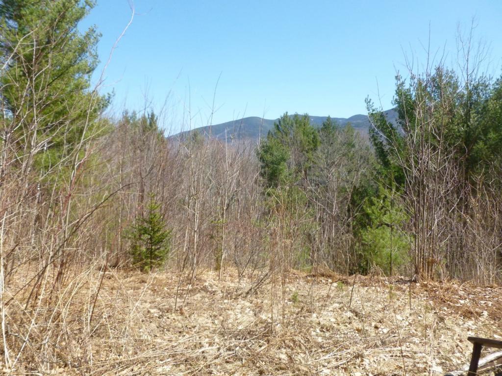 0 Valley View Easton, NH 03580 - Photo 8 of 11 Gallery Image 8