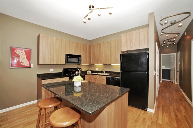 2123 West Rice Street, Unit 1E Chicago, IL 60622 - Photo 2 of 10