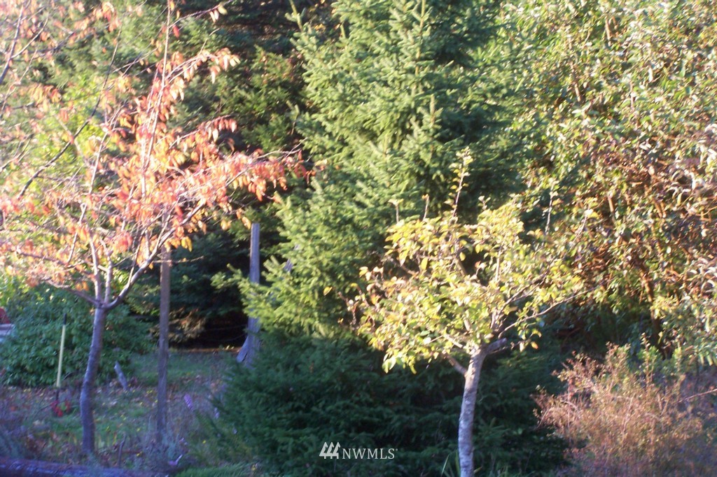 1725 Shine Road Port Ludlow, WA 98365 - Photo 12 of 12 Gallery Image 12