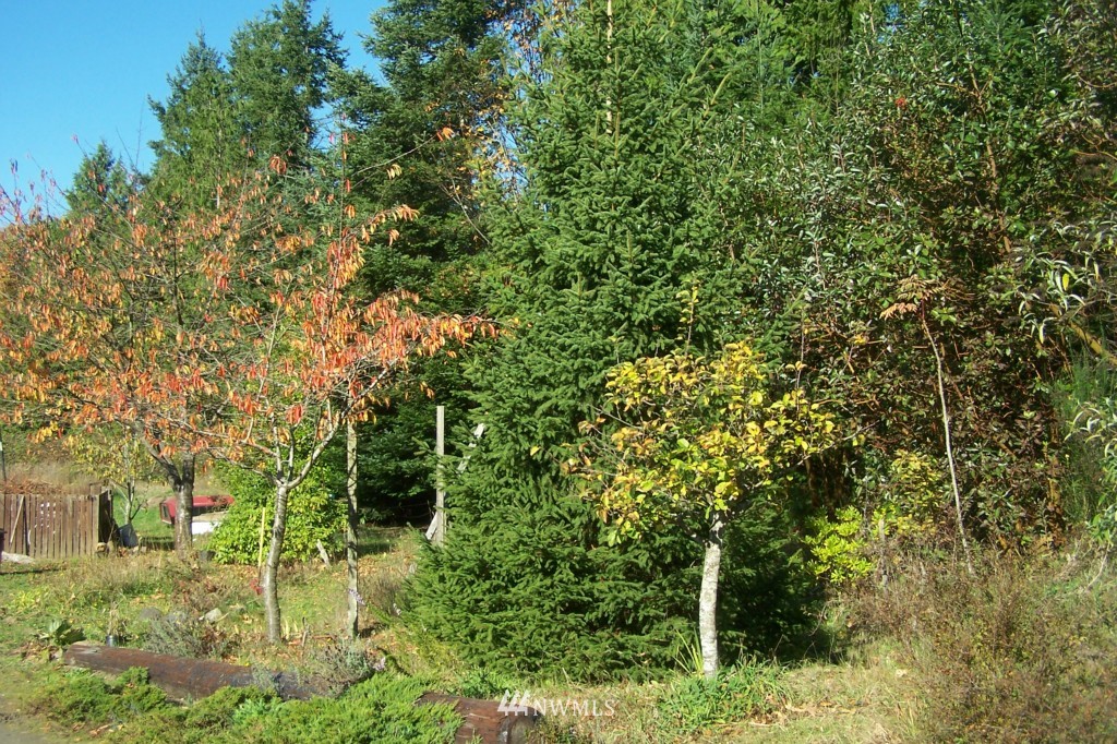 1725 Shine Road Port Ludlow, WA 98365 - Photo 6 of 12 Gallery Image 6