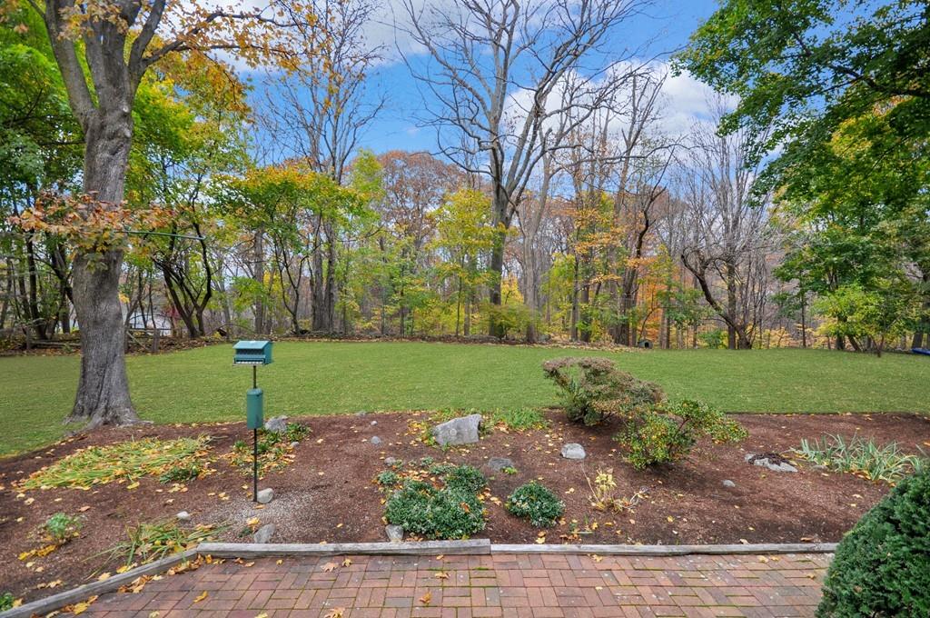 17 Cox Road Winchester, MA 01890 - Photo 3 of 19 a view of a park with tree s