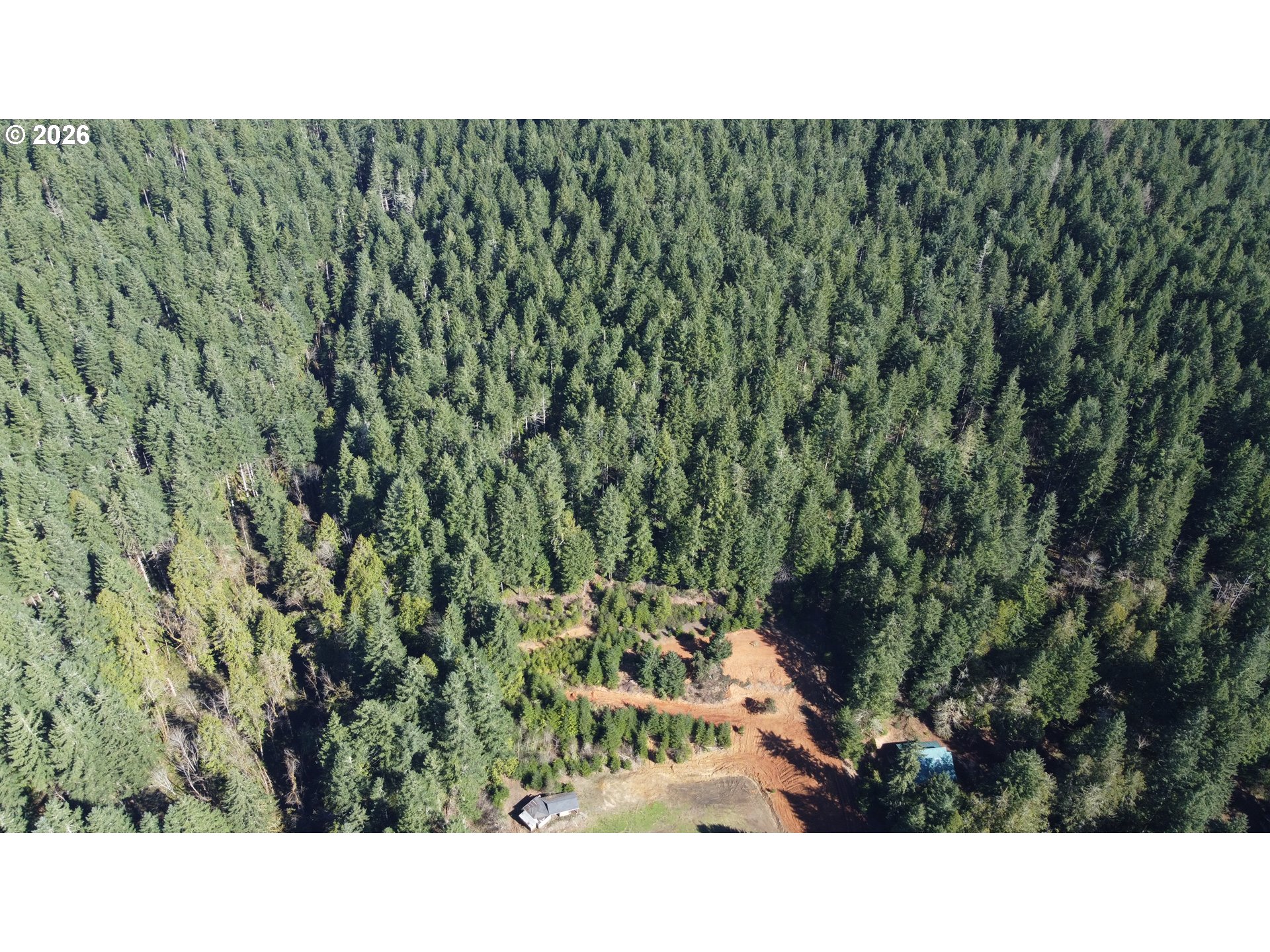 25797 Siuslaw Road Lorane, OR 97451 - Photo 13 of 14