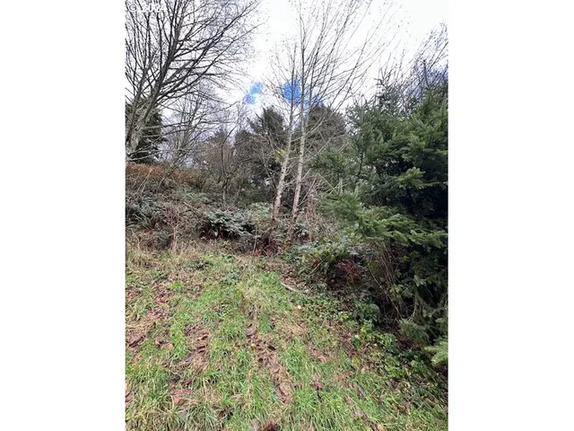 a view of ocean from a window