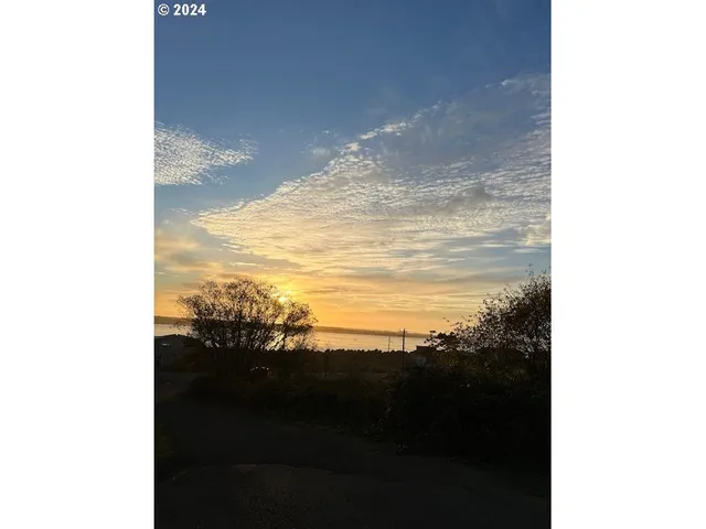 a view of a yard with plants and a bench