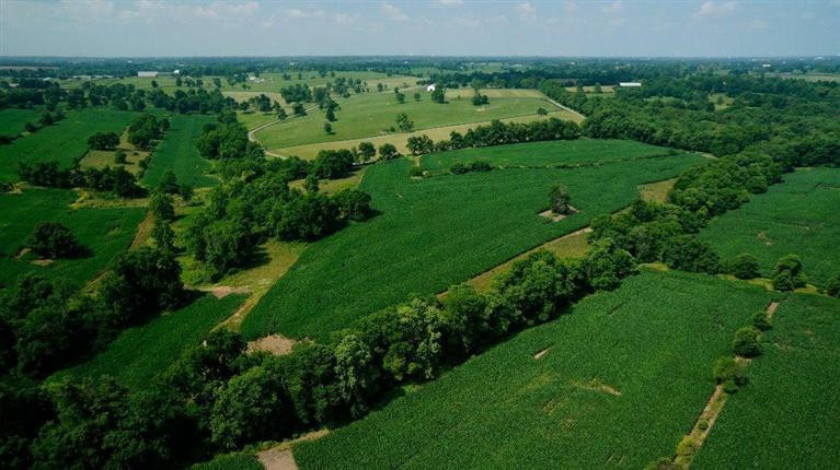 1 Paynes Mill Road Versailles, KY 40383 - Photo 15 of 36 Photo 15