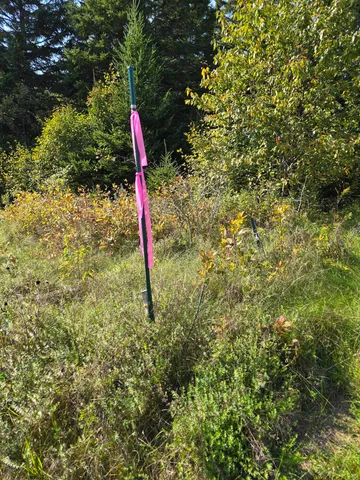 $39,900 | 2253 Bancroft Road, Bancroft, ME 04497