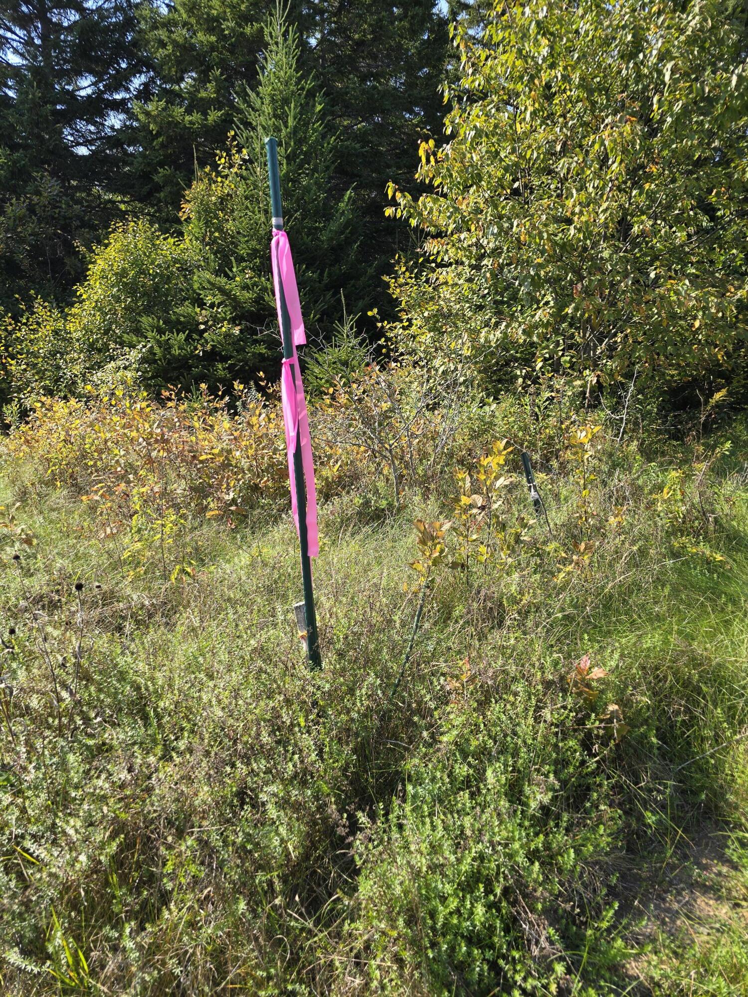 2253 Bancroft Road Bancroft, ME 04497 - Photo 8 of 8 20240917_134915