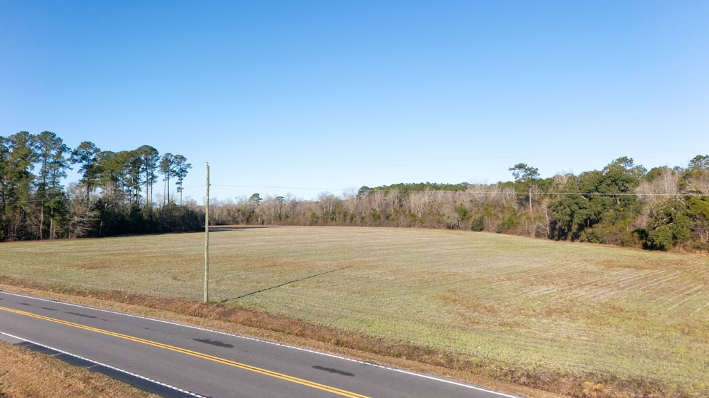 Tbd Horse Branch Road Turbeville, SC 29162 - Photo 10 of 10 Gallery Image 10