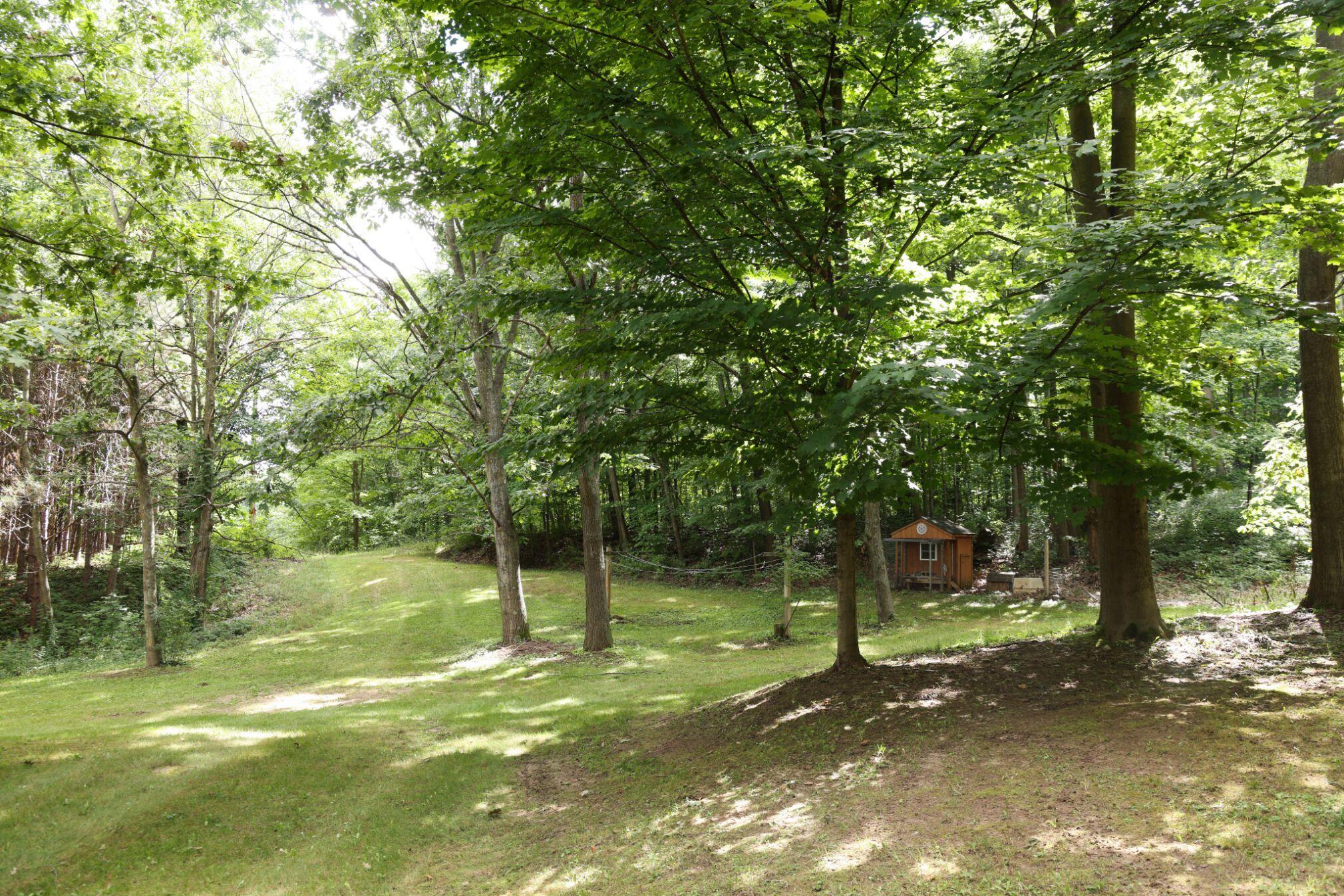 4377 South Water Road Shelby, MI 49455 - Photo 24 of 43 24
