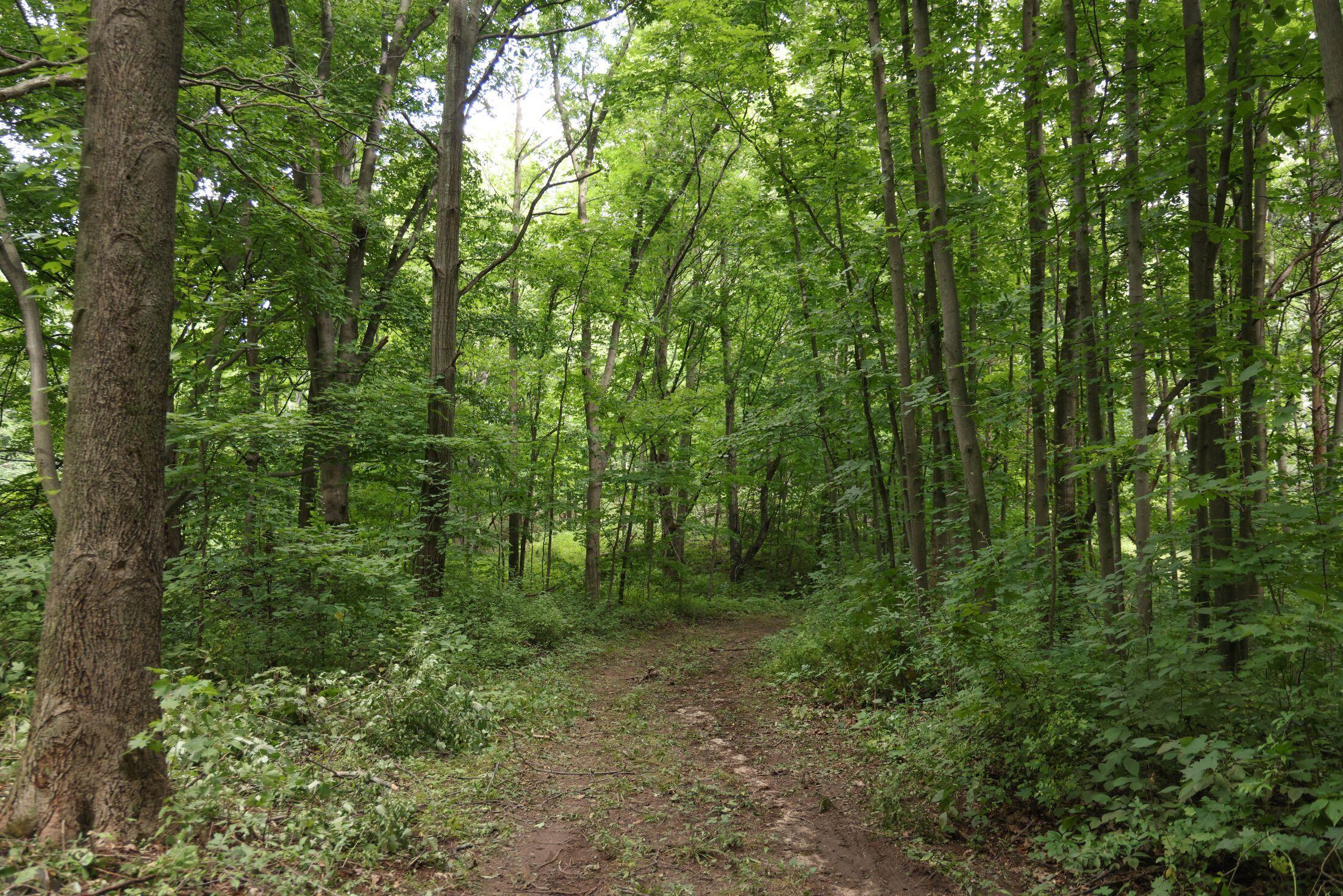 4377 South Water Road Shelby, MI 49455 - Photo 26 of 43 26