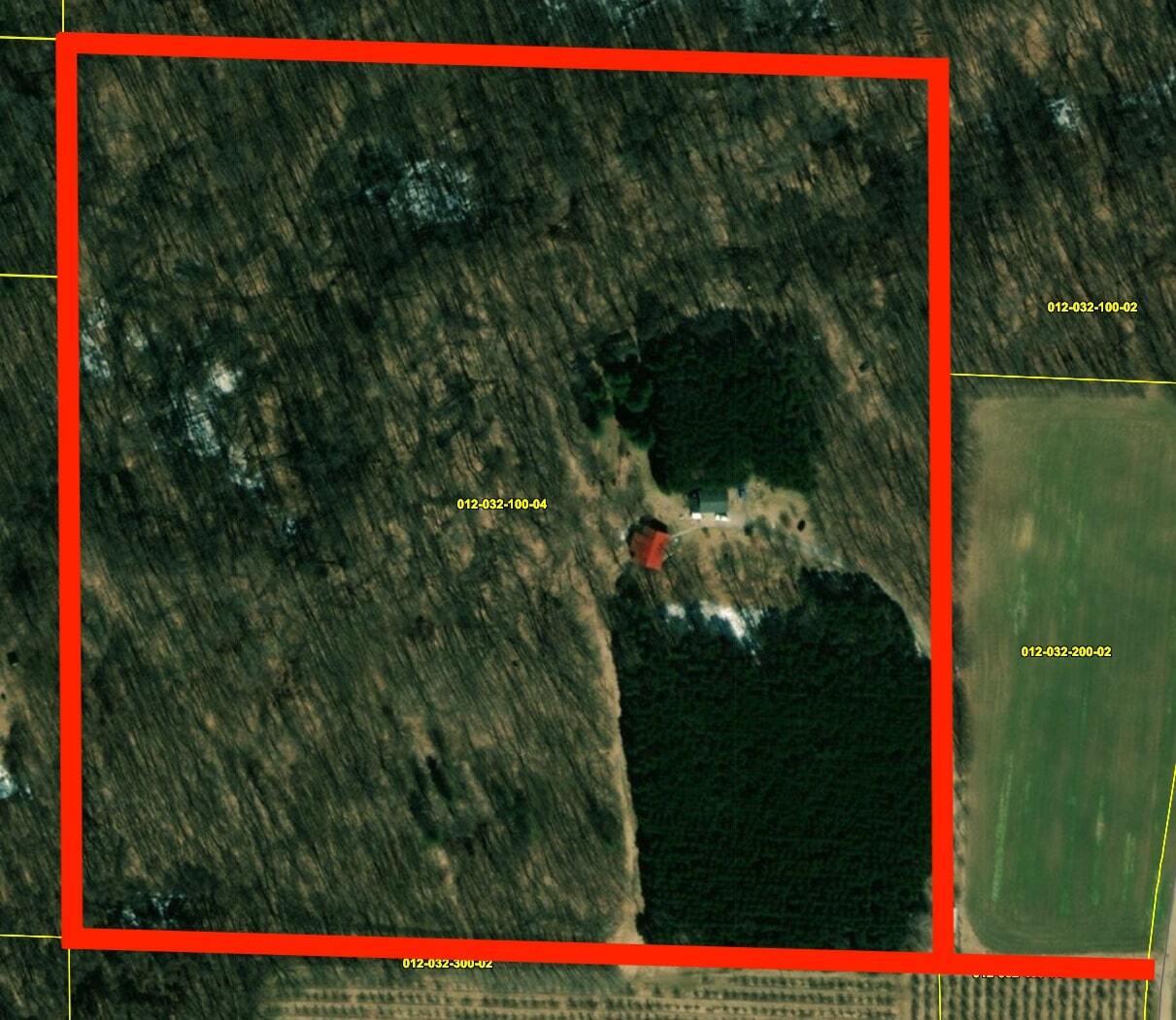 4377 South Water Road Shelby, MI 49455 - Photo 42 of 43 Aerial Close