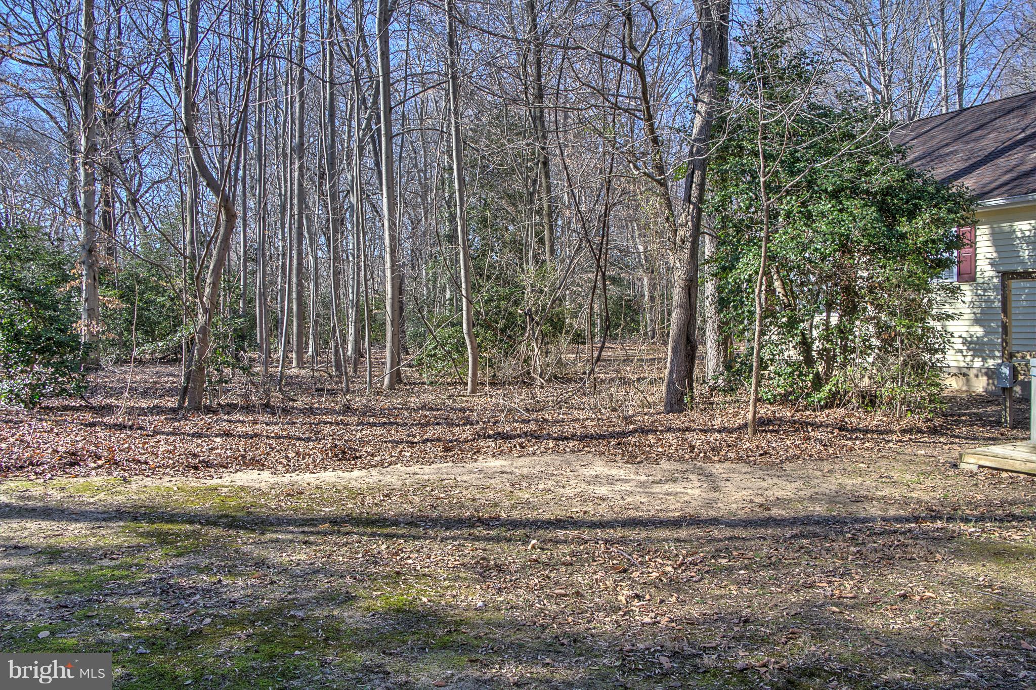 6606 Harmony Road Preston, MD 21655 - Photo 13 of 13 Exterior (Rear)