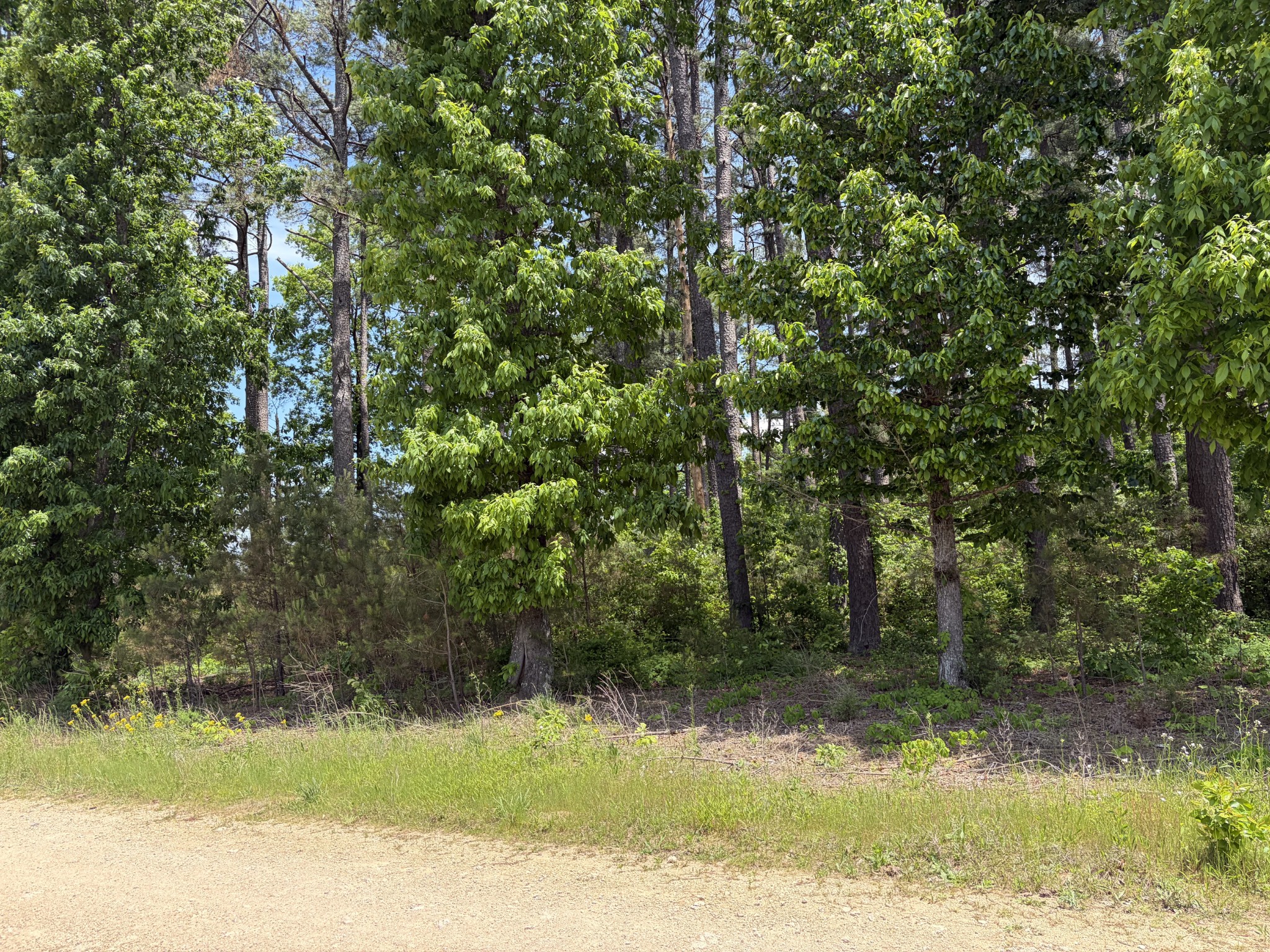 0 Fortyeight Creek Road Waynesboro, TN 38485 - Photo 1 of 4