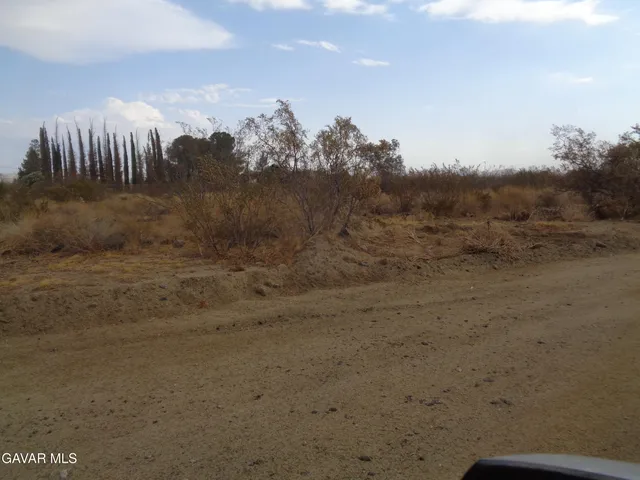 a view of a dry yard with wooden fence
