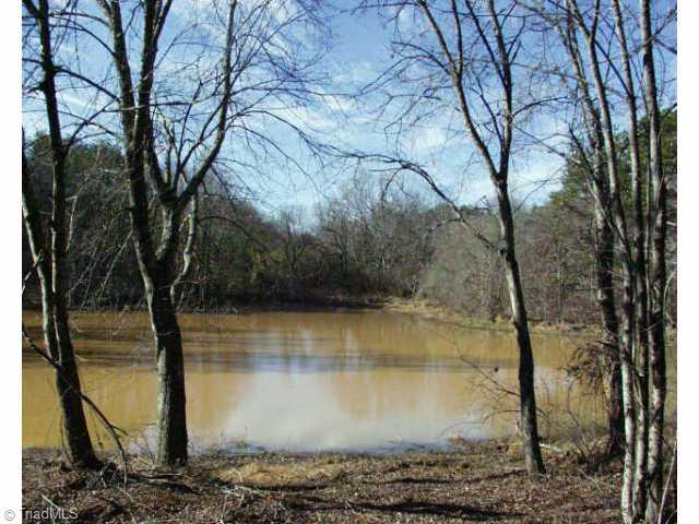 Lot 3 Chilton Road Ararat, NC 27007 - Photo 2 of 4 Other.