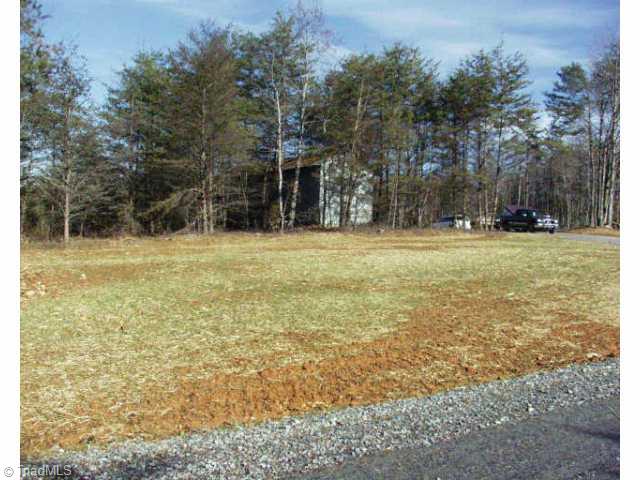 Lot 3 Chilton Road Ararat, NC 27007 - Photo 3 of 4 Other.