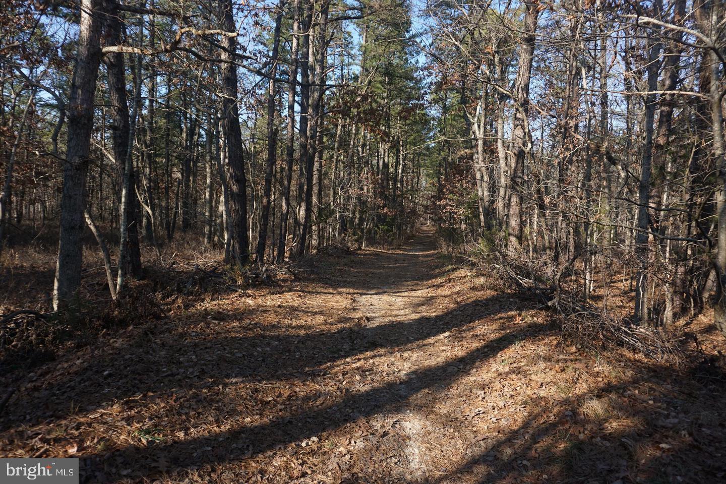 0 Don Road Buena, NJ 08310 - Photo 2 of 8