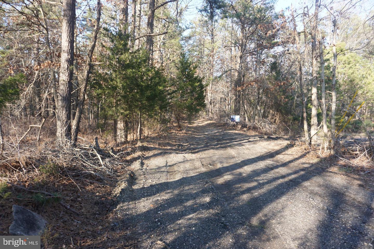 0 Don Road Buena, NJ 08310 - Photo 3 of 8