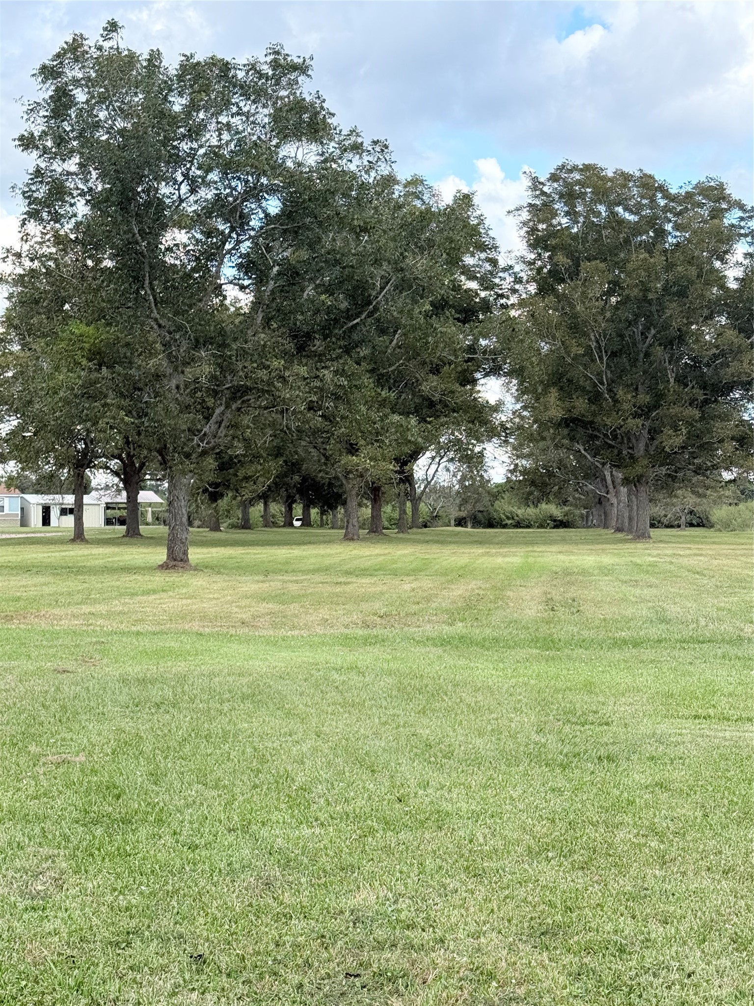 9639 FM 524 Road Sweeny, TX 77480 - Photo 2 of 12 a view of green field with trees in the background
