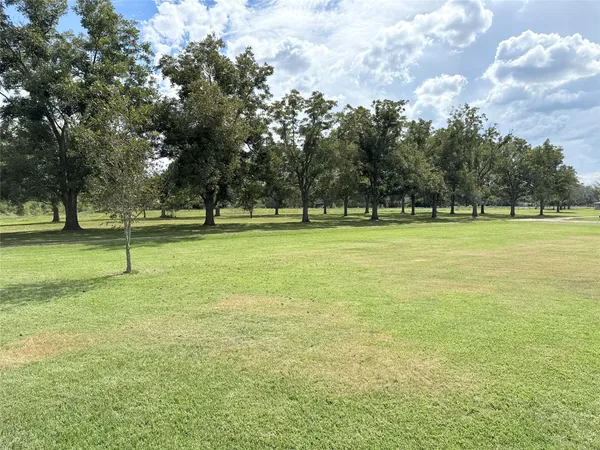 a view of a field with a tree