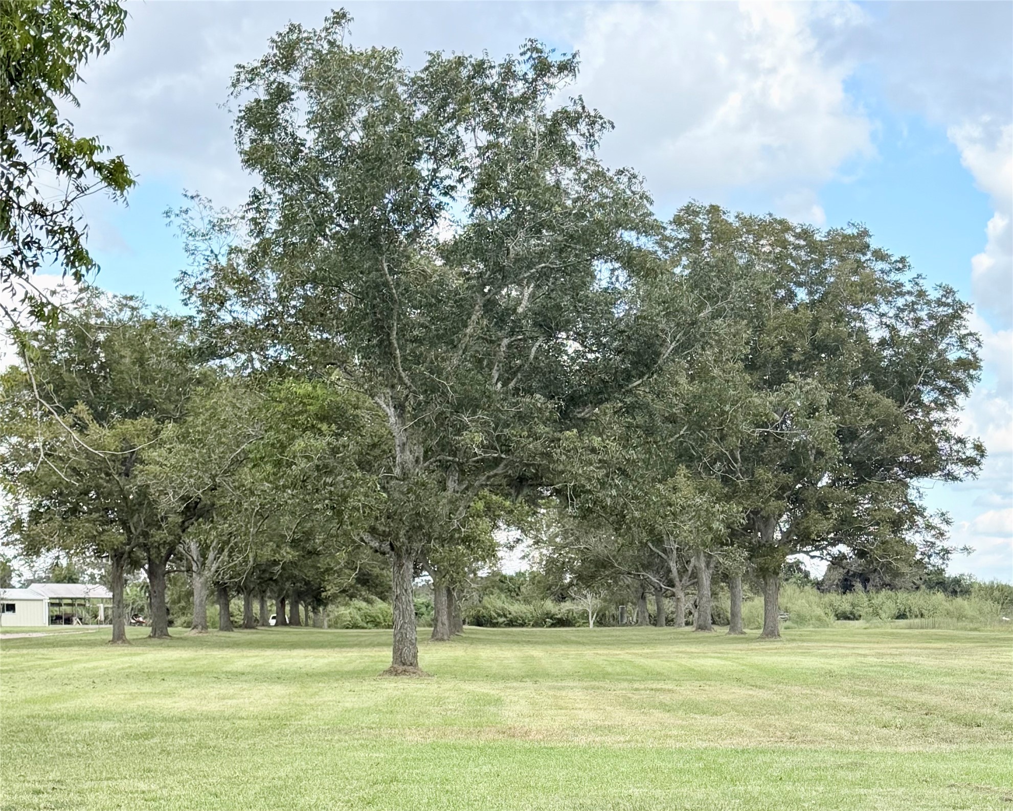 9639 FM 524 Road Sweeny, TX 77480 - Photo 4 of 12 a view of a green field