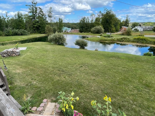 617 Bills Road Mio, MI 48647 - Photo 12 of 30 Pond