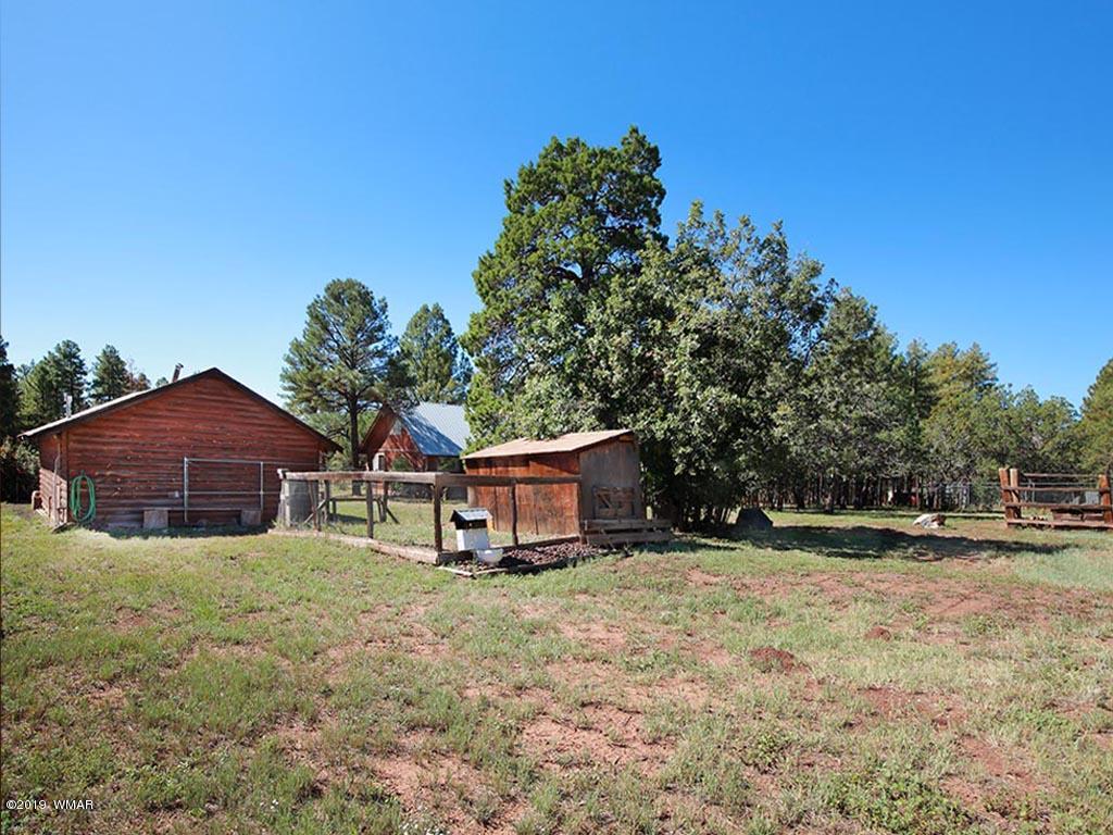9298 Grizzly Bear Road Pinetop, AZ 85935 - Photo 39 of 39