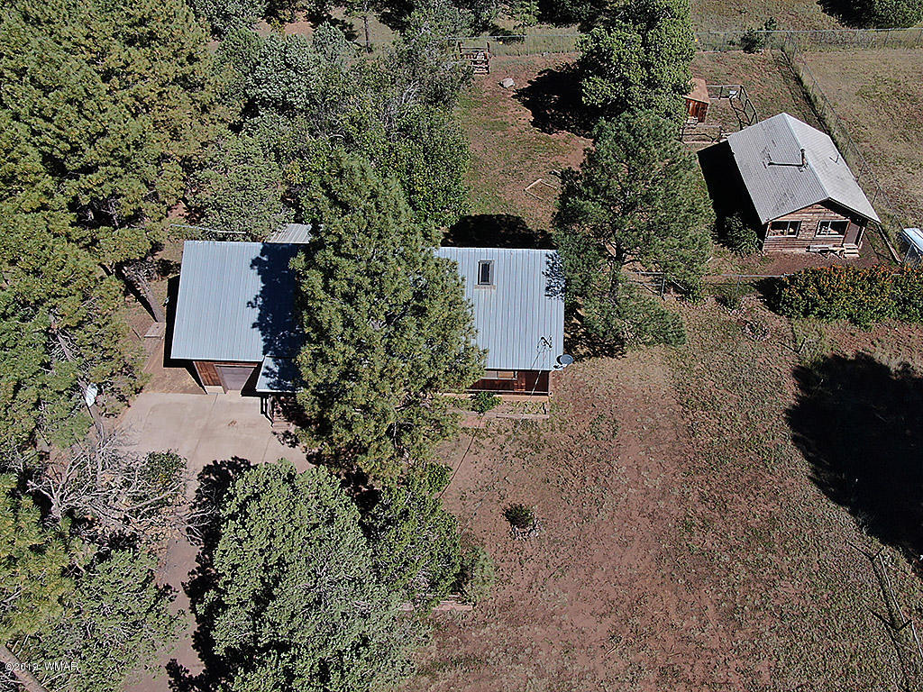 9298 Grizzly Bear Road Pinetop, AZ 85935 - Photo 4 of 39