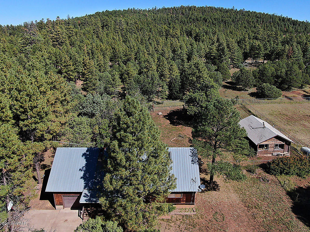9298 Grizzly Bear Road Pinetop, AZ 85935 - Photo 5 of 39