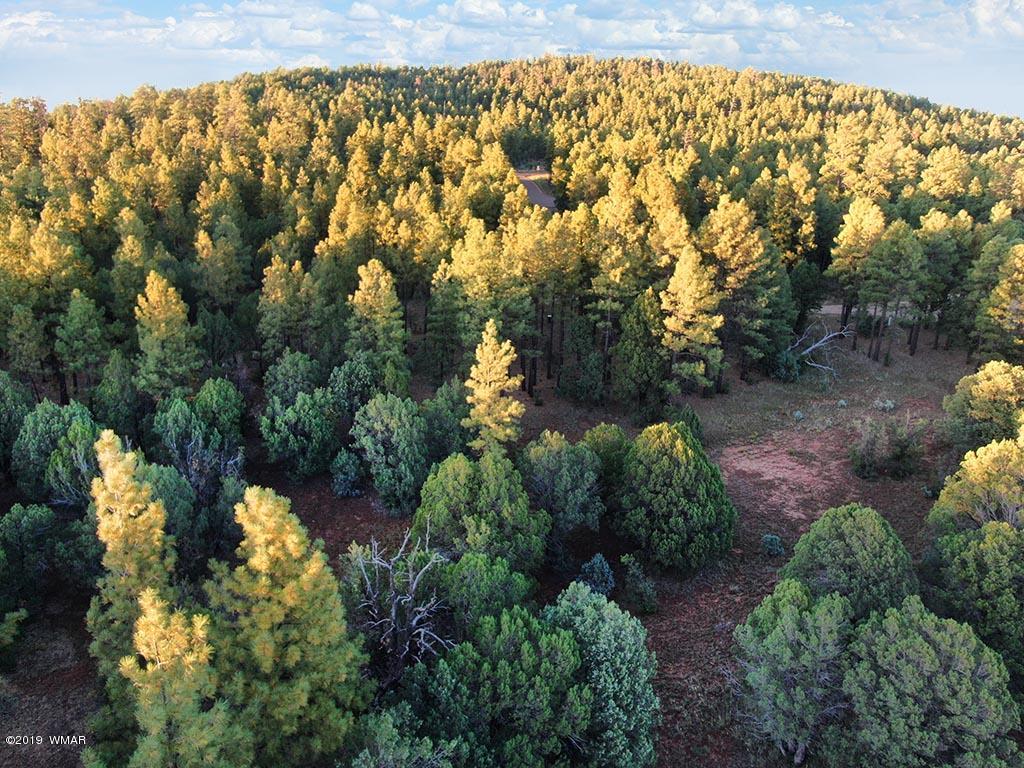 9298 Grizzly Bear Road Pinetop, AZ 85935 - Photo 8 of 39