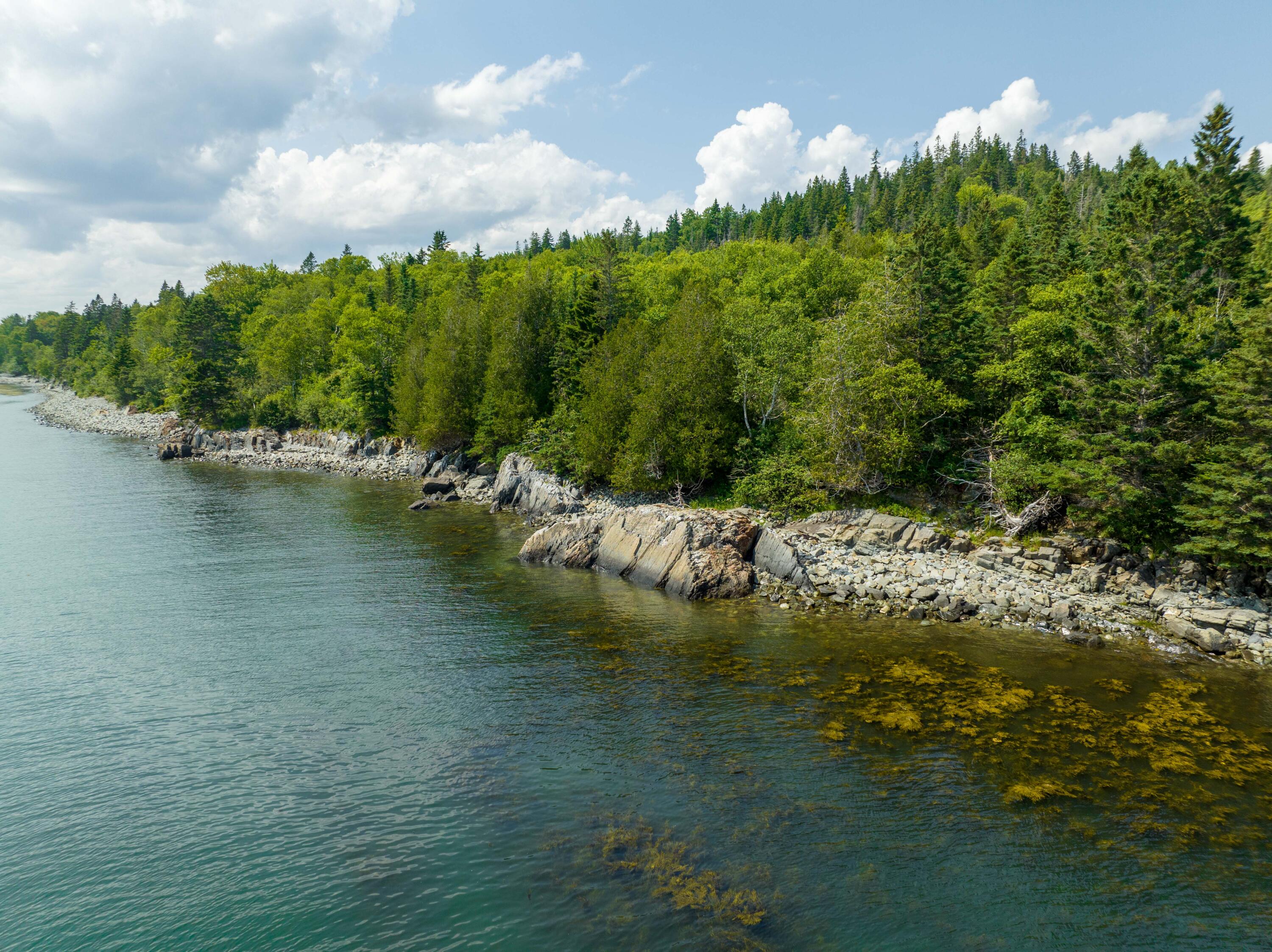 622 Dixie Road Lubec, ME 04652 - Photo 47 of 68 622 Dixie Rd. Lubec (14 of 40)